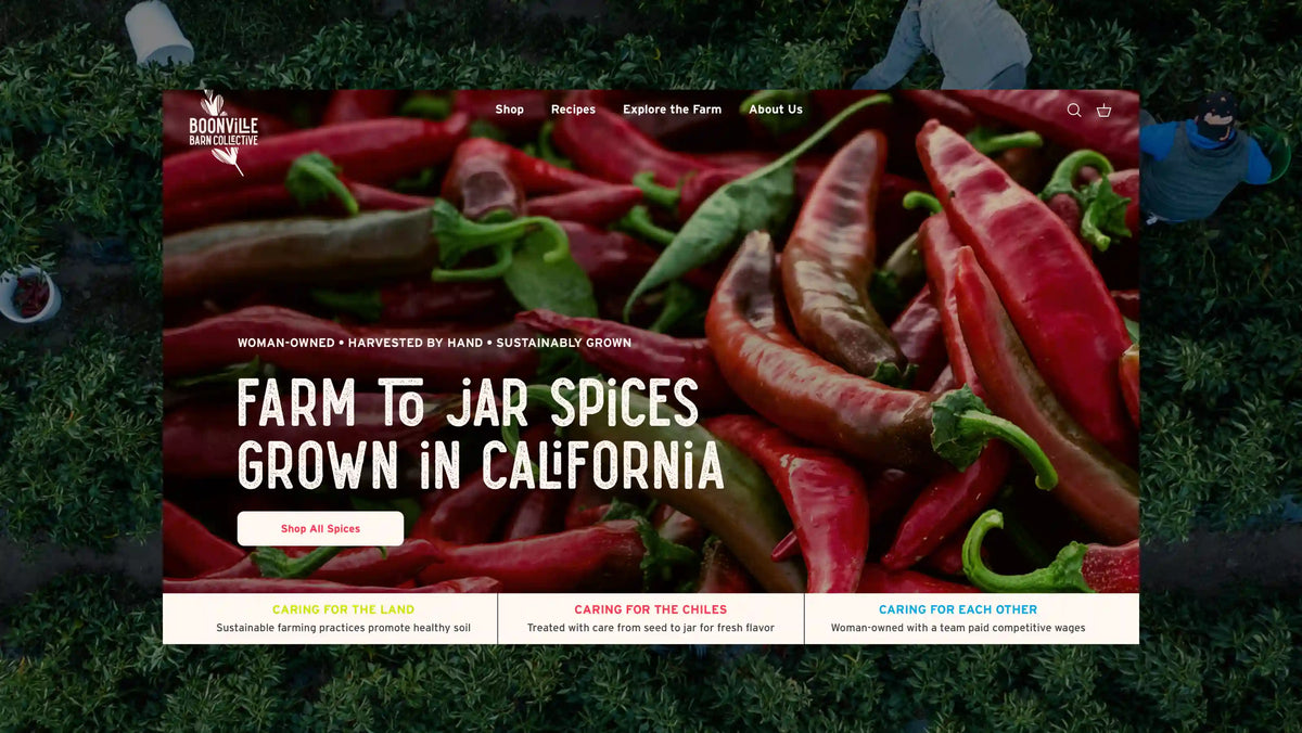 Boonville Barn Collective Web Design